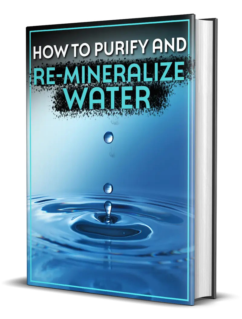 How to Purify and Mineralize Water